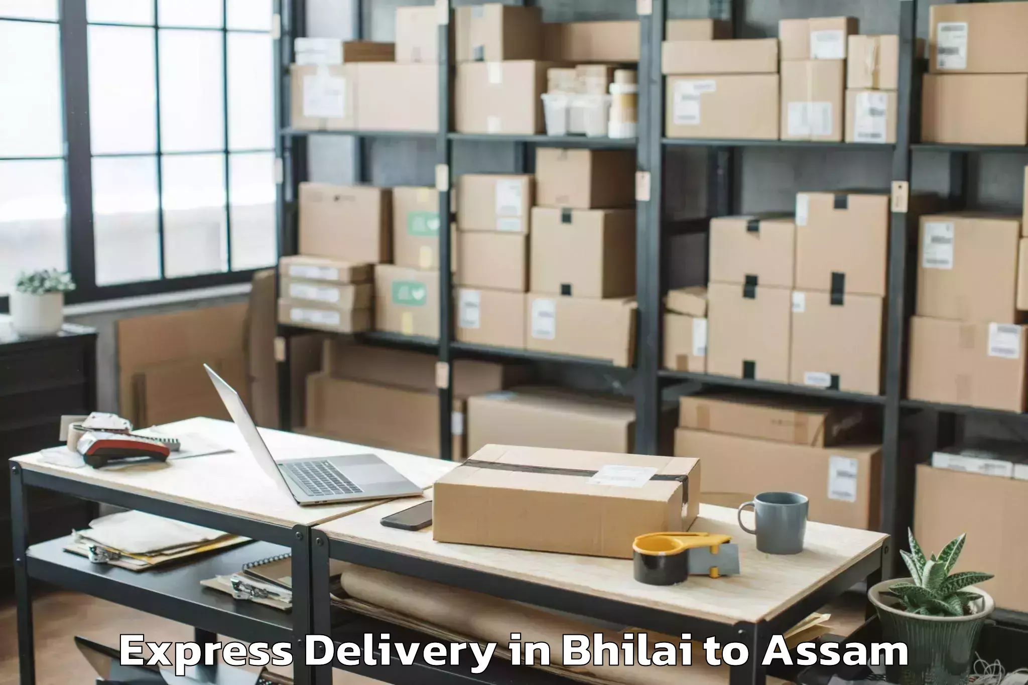 Leading Bhilai to Hamren Express Delivery Provider